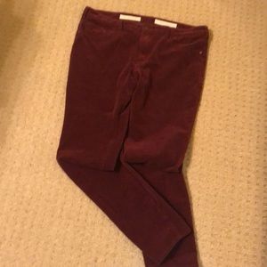 Pilcro and the letterpress corduroy pants size 32
